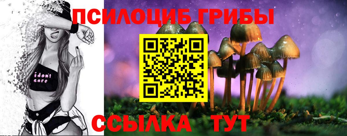Губаха  Псилоцибиновые грибы мицелий  Галлюциногенные грибы Psilocybe  Вход с VPN 